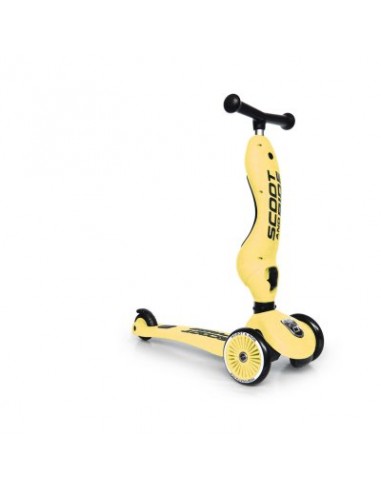 Porteur 2 en 1 évolutif en trottinette 1 à 5...