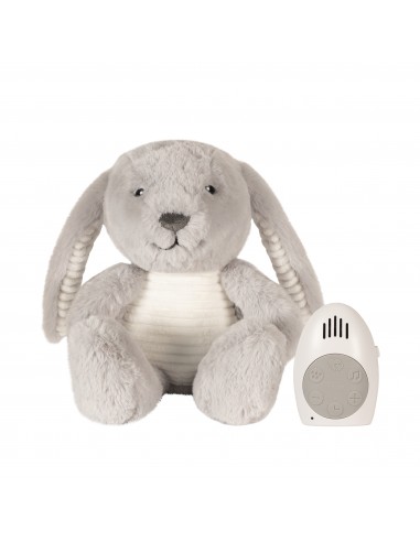 Jouet en peluche lapin, animal en peluche lapin,Lapin Poupée Lapin de  Pâques | Lapin en peluche à longues oreilles, oreiller