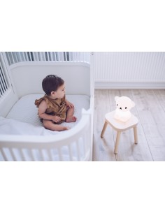 Veilleuse Boris Ours Mr Maria 2