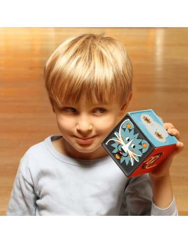 La Conteuse merveilleuse Joyeuse - boîte à...