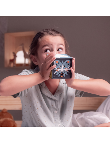 La Conteuse merveilleuse Joyeuse - boîte à...