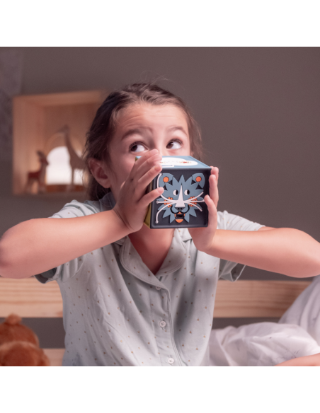 La Conteuse merveilleuse Joyeuse - boîte à histoires