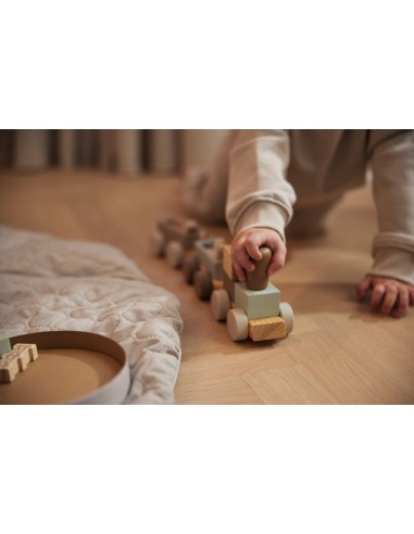 Premier Train en Bois Animaux de la Ferme