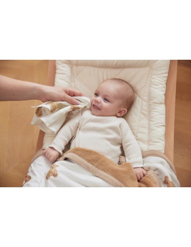 Lot de 3 mini langes Teddy Bear