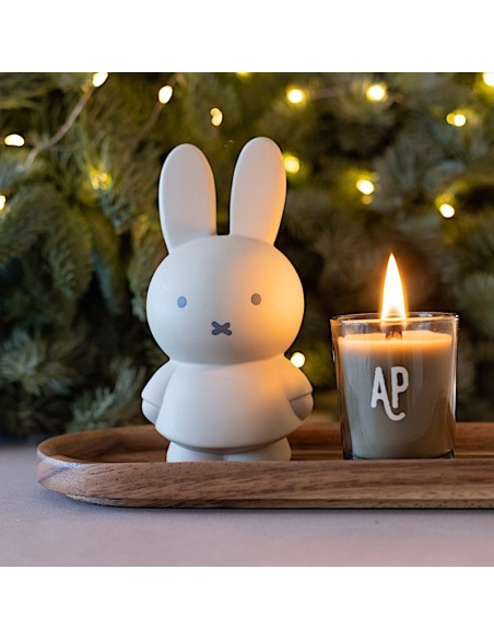 Tirelire Miffy Lapin Atelier Pierre