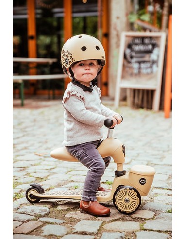 Porteur 2 en 1 évolutif en trottinette 1 à 5...