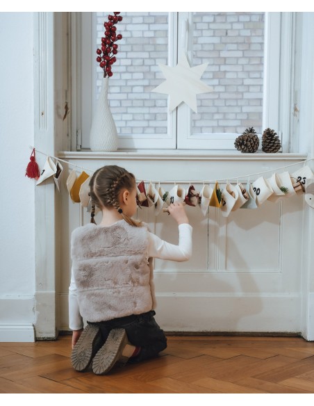 Calendrier de l'Avent Hibou - Amis de la Forêt