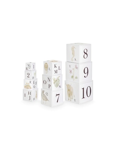Jeu de 10 Cubes empilables décorés Alphabet Animaux