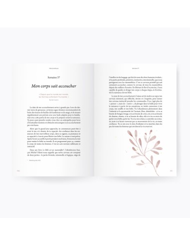 Guide de grossesse : Mèr(e)veilleuse - Sandra...