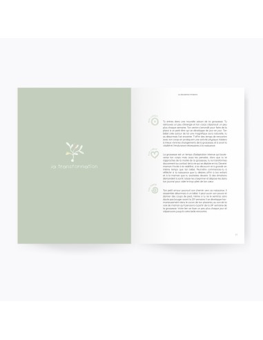 Guide de grossesse : Mèr(e)veilleuse - Sandra...