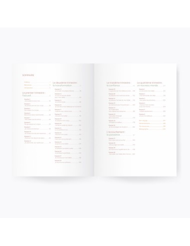 Guide de grossesse : Mèr(e)veilleuse - Sandra...