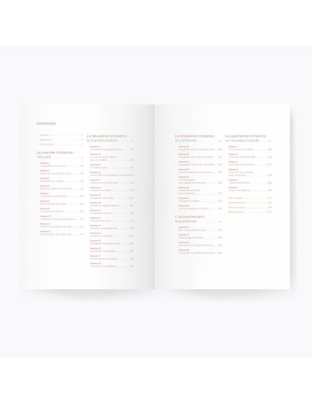 Guide de grossesse : Mèr(e)veilleuse - Sandra AMBOS - Ilado Paris & Hachette