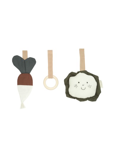 Jouets pour Arche d'éveil Playground Veggie...