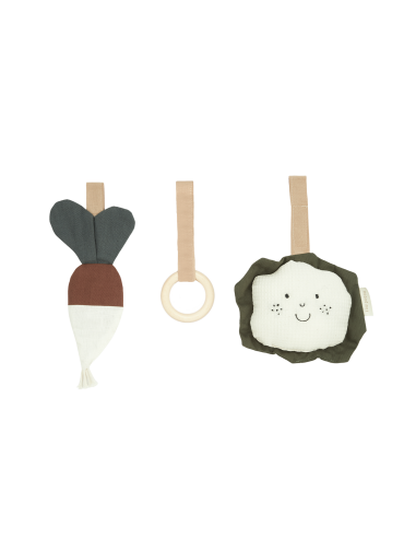 Arche d'éveil en bois et jouets à suspendre...