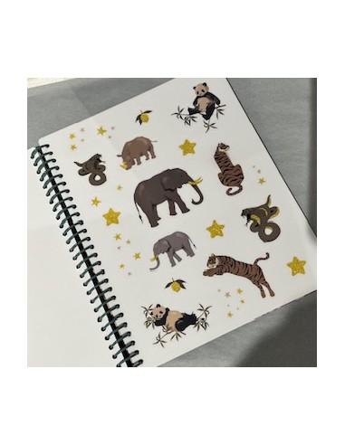Cahier de Stickers - jeux d'autocollants...