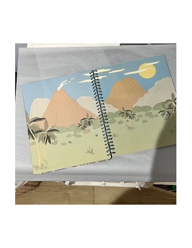 Cahier de Stickers - jeux d'autocollants...