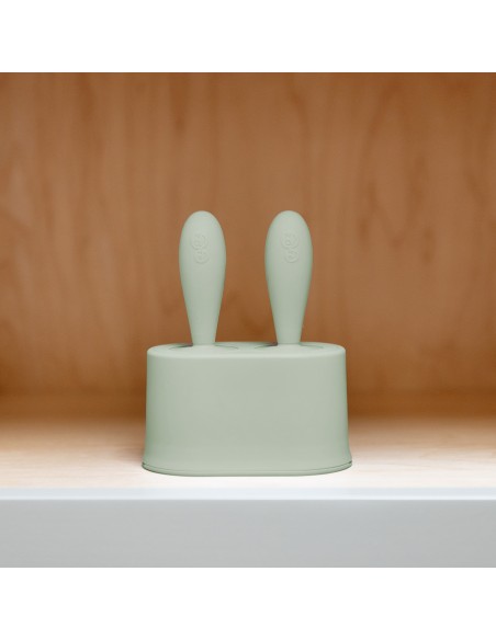 Set de moules à glace pour nourrissons EZPZ Vert Amande