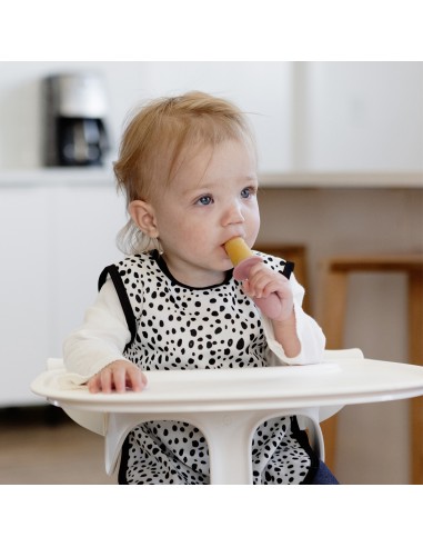 Set de moules à glace pour nourrissons EZPZ...