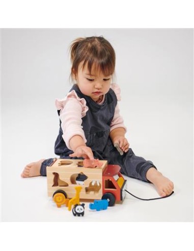 Boîte à Formes Camion Safari en bois