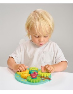 Arbre à Engrenages et Pignons 2