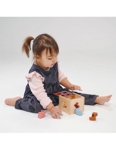 Boîte à formes - Mentari