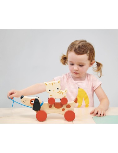 Jouet à Tirer en Bois Chien - Mentari