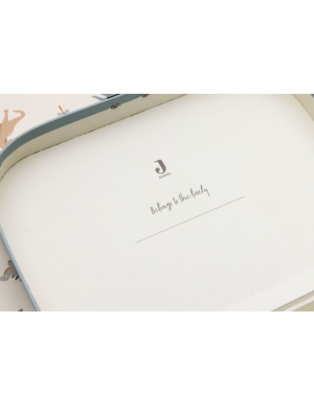 Petites Valisettes en carton Dinosaure Roarsome (lot de 2)