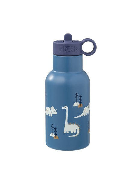 Gourde isotherme Bleu Dinosaures