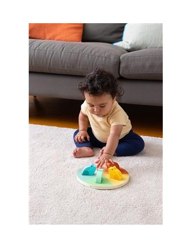 Tablette à ranger Grenouilles