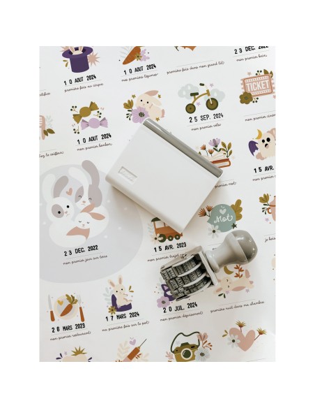 Affiche Mes premières fois Lapin