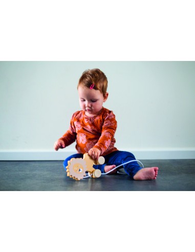 Jouet à Tirer Lion en Bois