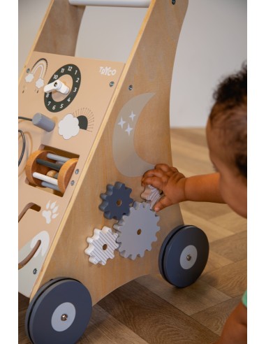 Chariot de Marche et d'Activités en Bois Nature