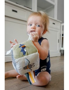 Cube Sensoriel en Tissu Dragon 2