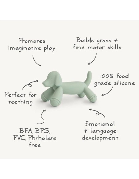 Jouet de dentition Chien Teckel Vert
