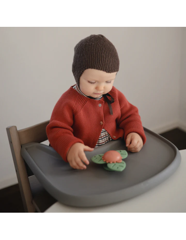 Jouet d'éveil Spinner Dino