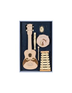 Coffret 5 Instruments de Musique Tigre et Lemon