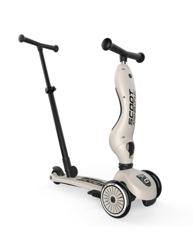 Push and Go - Porteur 2 en 1 évolutif en...