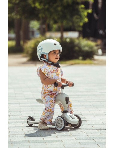 Push and Go - Porteur 2 en 1 évolutif en...