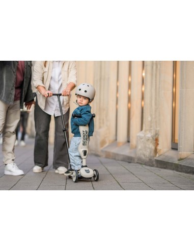 Push and Go - Porteur 2 en 1 évolutif en...