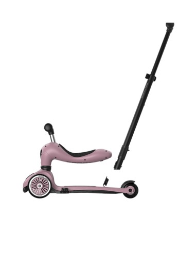 Push and Go - Porteur 2 en 1 évolutif en...