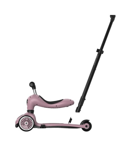 Push and Go - Porteur 2 en 1 évolutif en trottinette 1 à 5 ans Rose Wildberry