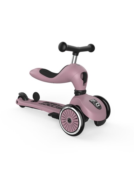 Push and Go - Porteur 2 en 1 évolutif en trottinette 1 à 5 ans Rose Wildberry