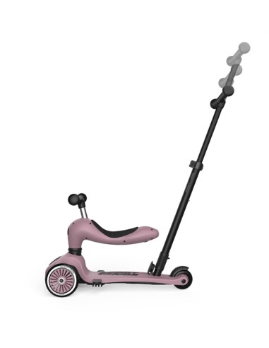 Push and Go - Porteur 2 en 1 évolutif en...