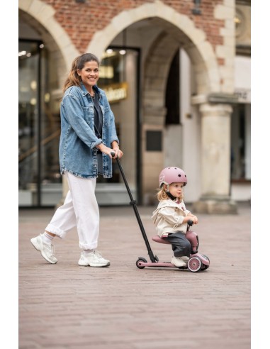 Push and Go - Porteur 2 en 1 évolutif en...