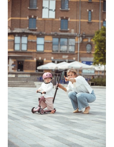 Push and Go - Porteur 2 en 1 évolutif en...