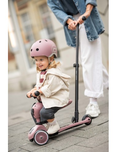 Push and Go - Porteur 2 en 1 évolutif en...