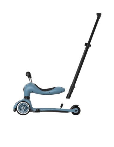 Push and Go - Porteur 2 en 1 évolutif en...