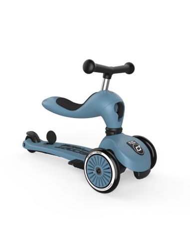 Push and Go - Porteur 2 en 1 évolutif en...