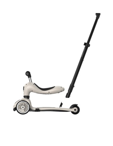 Push and Go - Porteur 2 en 1 évolutif en...