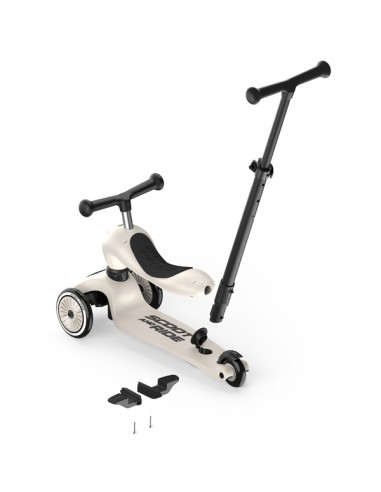 Push and Go - Porteur 2 en 1 évolutif en...